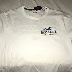 Hollister Must-Have Collection Longline Tee